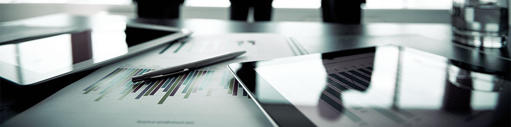 İdare Faaliyet Raporu